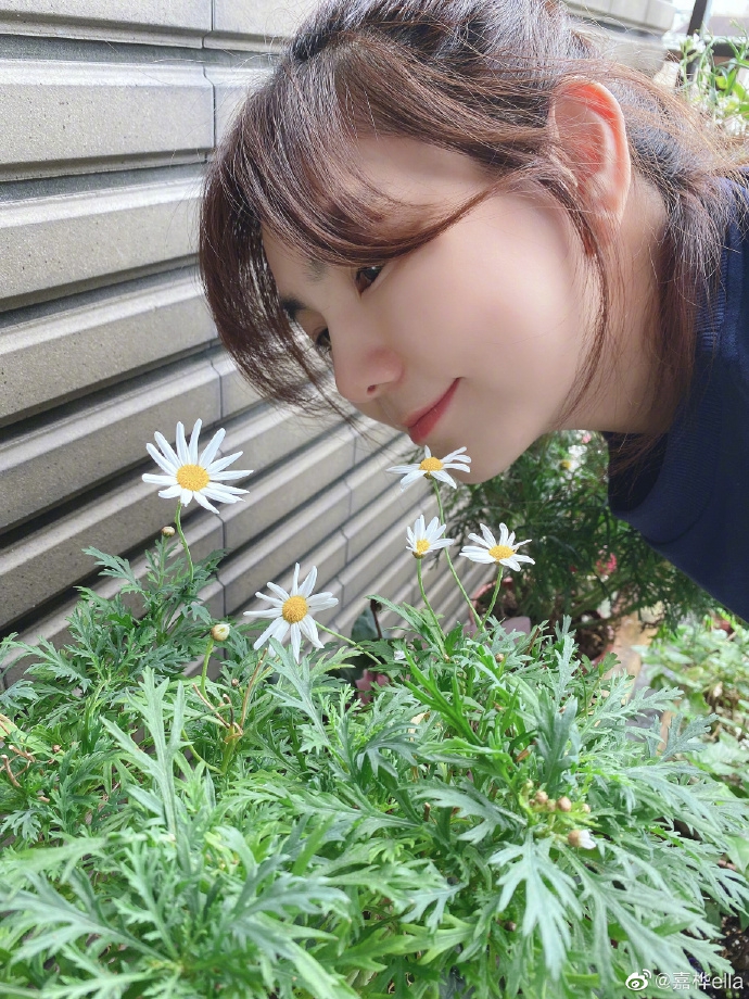 4c3d-isyparf8575334.jpg